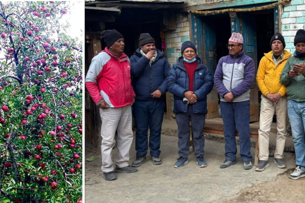 अध्ययन गरेर फर्कियो स्याउ बिमा टोली